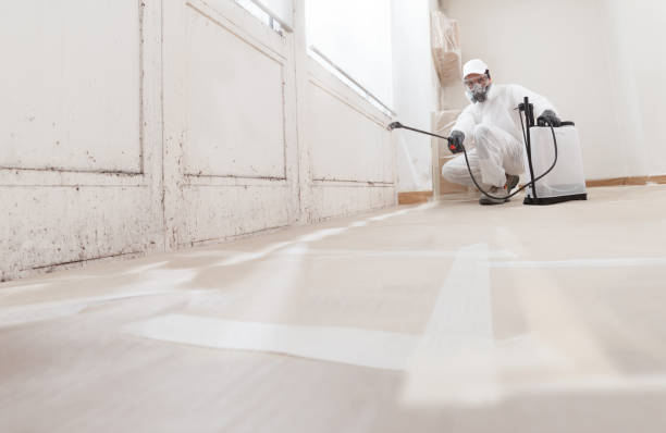 24/7 Emergency Attic Mold Removal experts in Woodstock, MD