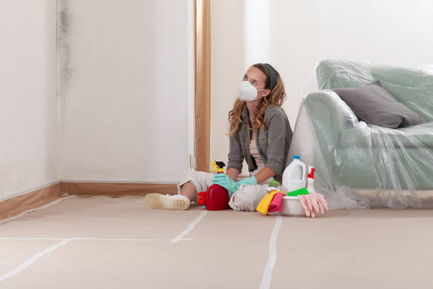 Trusted Basement Mold Remediation service in Woodstock, MD - Cheap Mold Removal